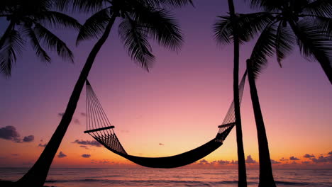 hammock and palm trees silhouetted against a vibrant tropical sunset