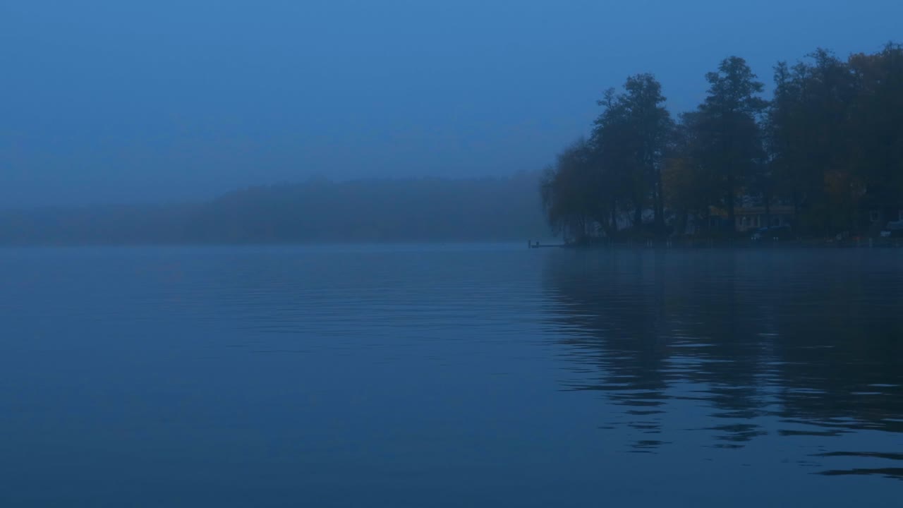 Moody 4K shots of Damhe River in autumn fog; cold tones and dead trees