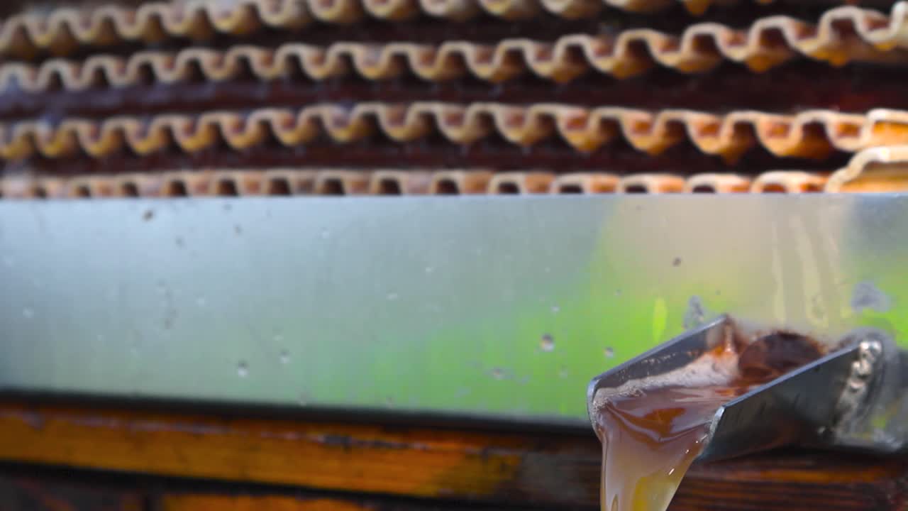 Close up view of golden brown and tasty apple juice flowing from an apple press nozzle or tip into a bucket at slow motion speed during sunny day, with shallow depth of field and bokeh background