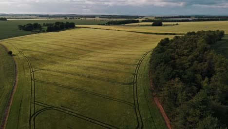 fast circling aerial above windswept farmland and bordering tree clusters