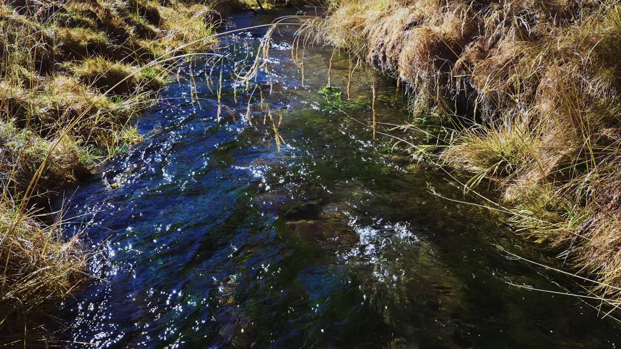Stream flowing through a grassy landscape