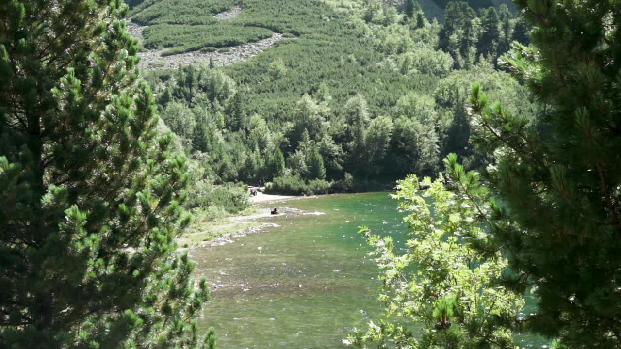 나무가 부드럽게 바람에 부히는 산의 호수의 비디오 시스