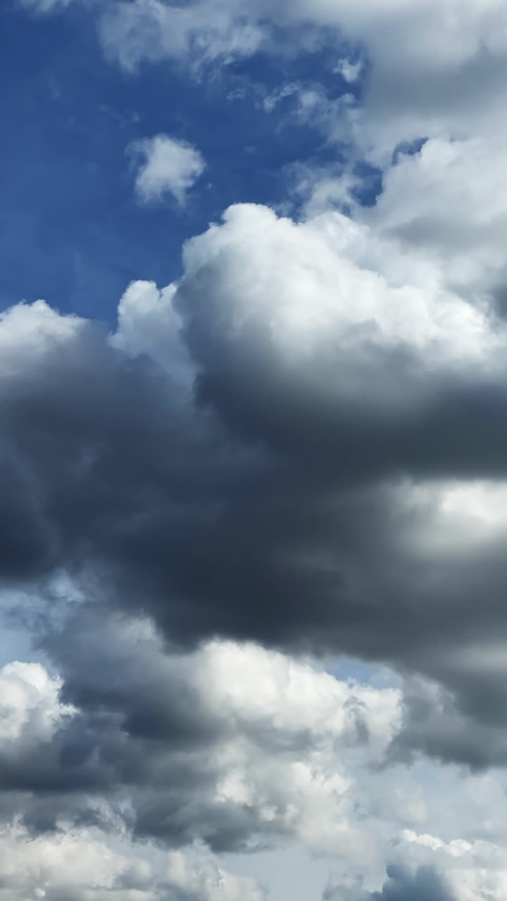 Soft cumulus clouds moved by the wind. Low angle view at the heavy cloudscape forming in the atmosphere. Timelapse. Vertical video.