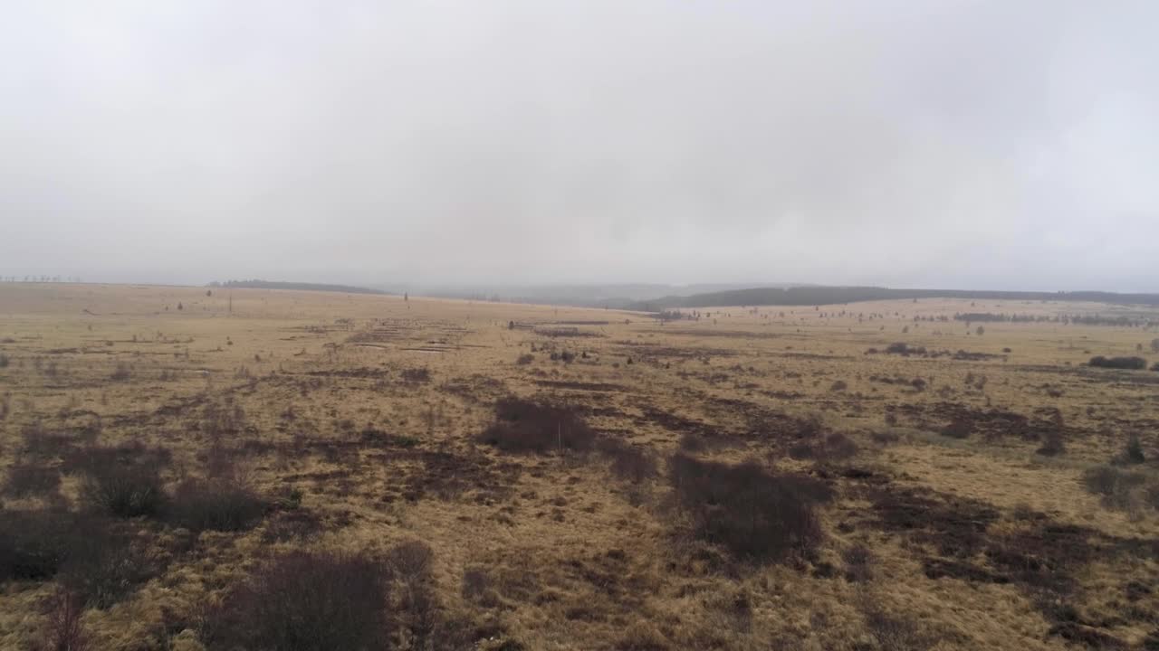 Vast Landscape Of Hautes Fagnes In Belgium During Fall Season - ascending drone