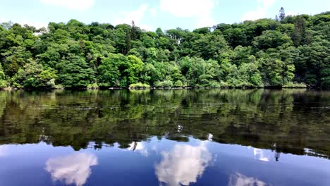 irlanda lugares épicos río que fluye suavemente árboles verdes densos en la orilla del río día relajante río blackwater en west waterford