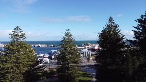 aerial view fremantle, flying over pine trees with view of fremantle fishing boat harbour - slow rotation up high, western australia