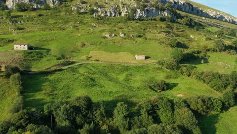 Rückzugsflug-Auf-Einem-Kalksteinberghang-Mit-Grünen-Getreidewiesen,-Eine-Davon-Ist-Gemäht,-Mit-Seinen-Bauernhäusern-Gibt-Es-Große-Eichen-An-Einem-Sommertag-Mit-Blauem-Himmel-In-Kantabrien-Spanien