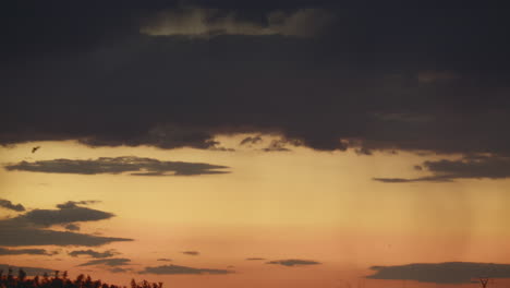 Los-Pájaros-Vuelan-En-El-Cielo-Del-Atardecer