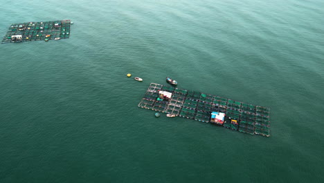 aerial, floating wooden fish farms floating in middle of rural ocean