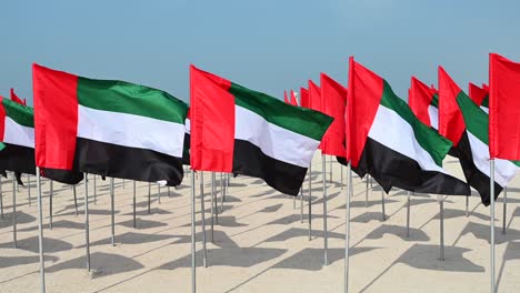 las banderas de los emiratos árabes unidos están en exhibición en el jardín de las banderas para celebrar el día de la bandera de los emiratos árabes unidos en dubai, eau