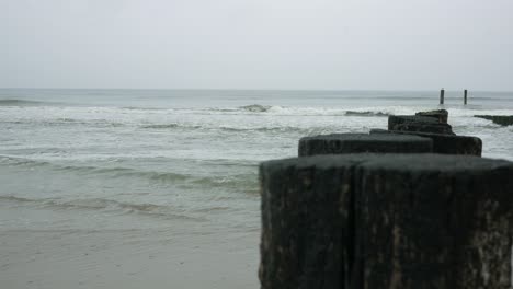 shore of the north sea near domburg