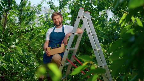 Propietario-De-Agronegocios-En-La-Granja-Trabajando-Duro-Recogiendo-Cerezas-En-Un-Día-Soleado