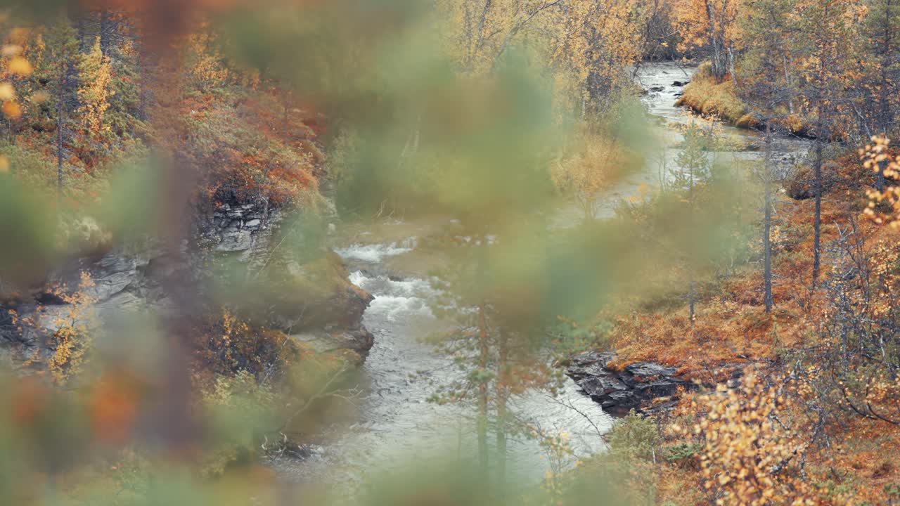 Autumn forest on the banks of the shallow mountain river