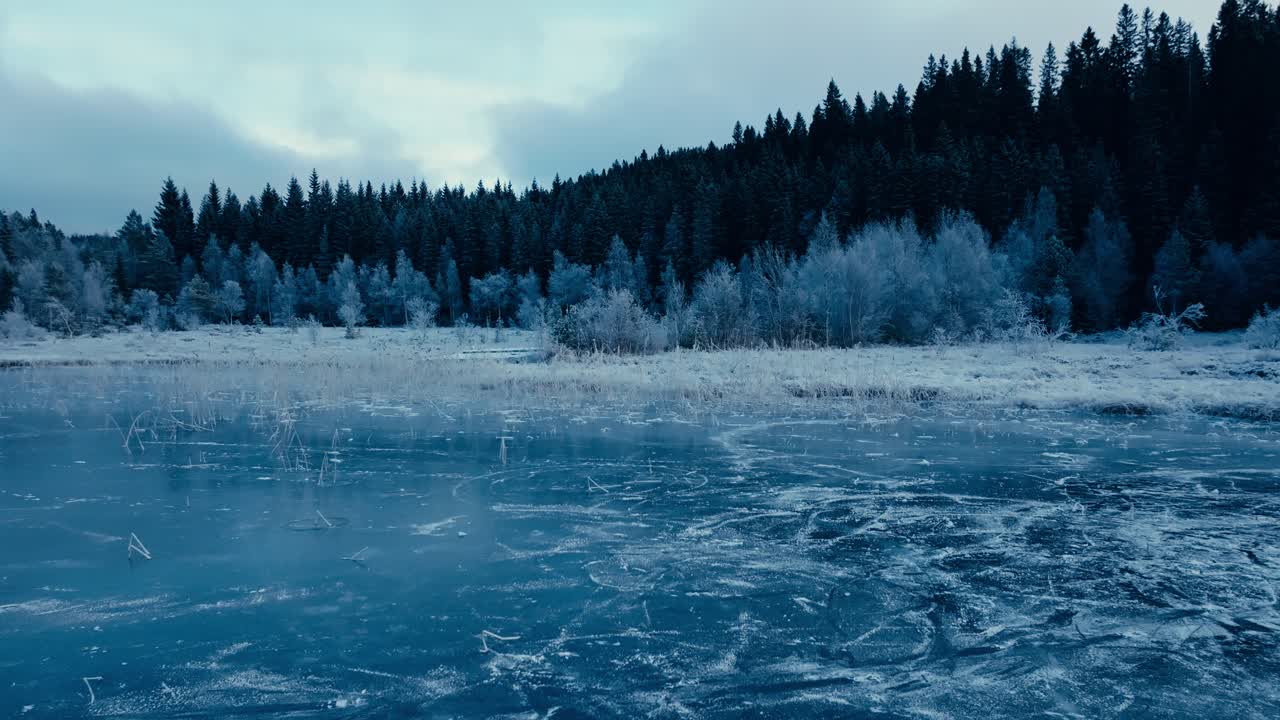 Indre Fosen, Trondelag County, Norway - Omundvatnet's Frozen Expanse Encircled by Coniferous Trees - Drone Flying Forward
