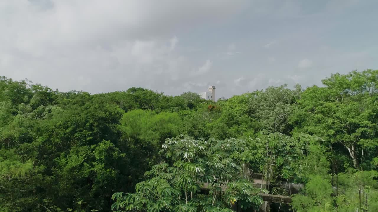 saliendo de la jungla tropical de tulum con vista a la torre de alojamiento, milum lake club