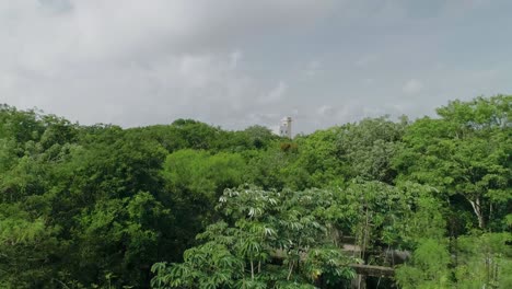 Saliendo-De-La-Jungla-Tropical-De-Tulum-Con-Vista-A-La-Torre-De-Alojamiento,-Milum-Lake-Club