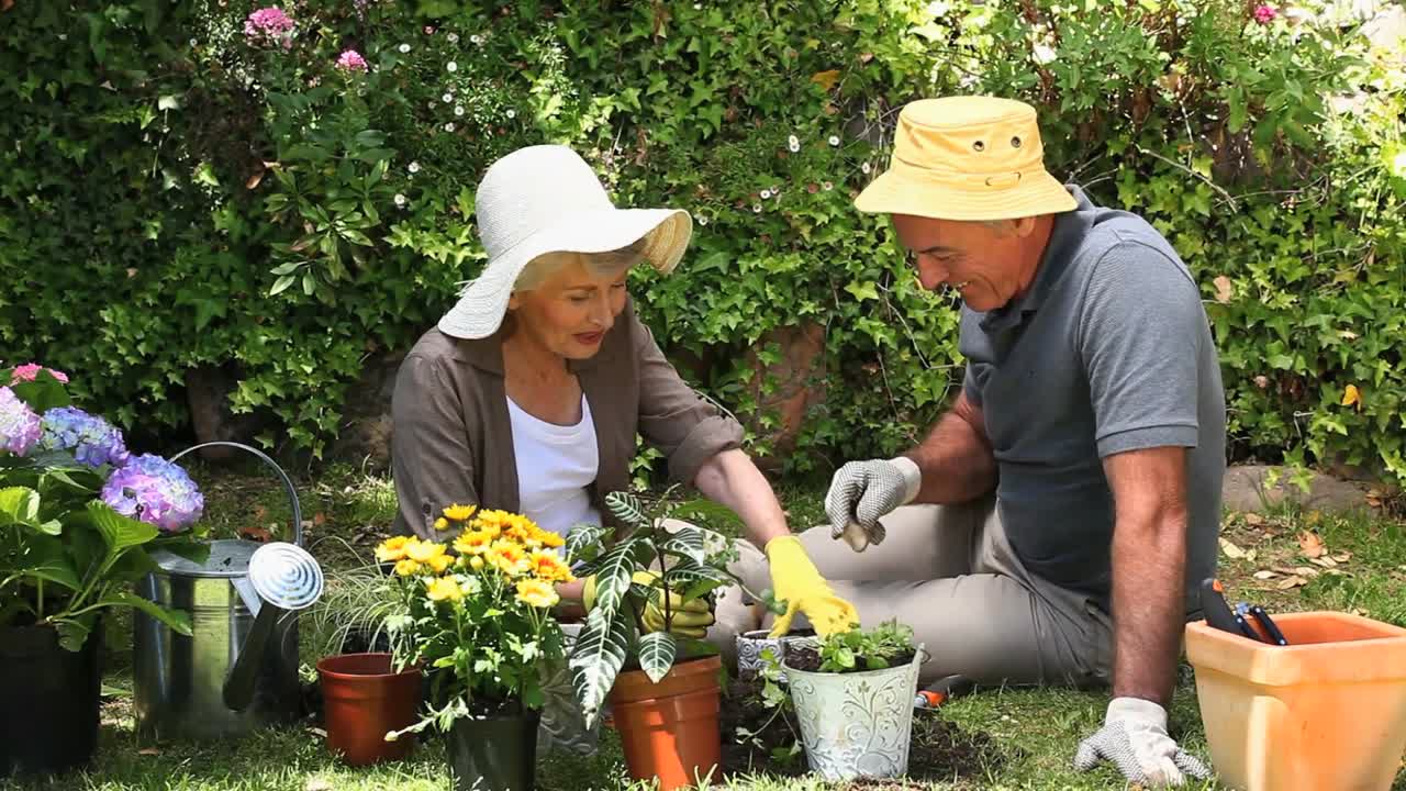 anciano haciendo jardinería con su esposa