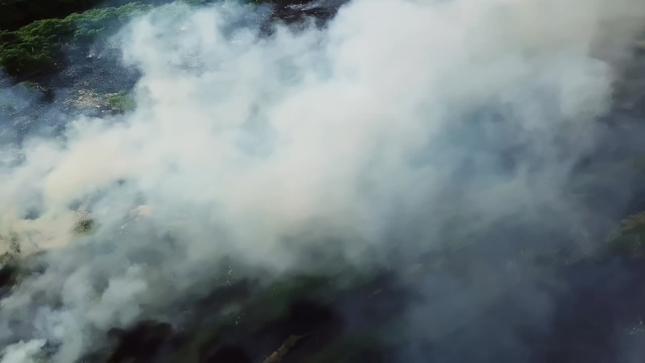 incendio en pastizales verdes con humo penetrante, desastre natural