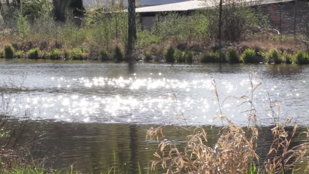 Sun reflection on the river