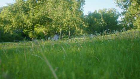 Schwarze-Frau-Auf-Picknick-Im-Park,-Die-Zu-Einer-Pfanne-Mit-Niedrigem-Winkel-Läuft