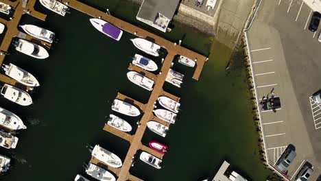 aerial view: boats and yachts moored at harbour