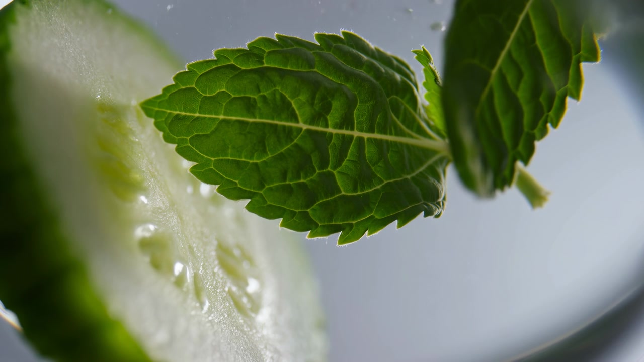 Foglia di menta retroilluminata con bordo seghettato sopra una fetta di cetriolo traslucida, venature dettagliate, goccioline visibili, texture verde fresca, bagliore soffuso da studio, composizione botanica pulita per alimenti e bevande