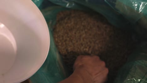picking up coffee from a bag with bear hands. the coffee beans are still green and unroasted. filmed in 50fps.