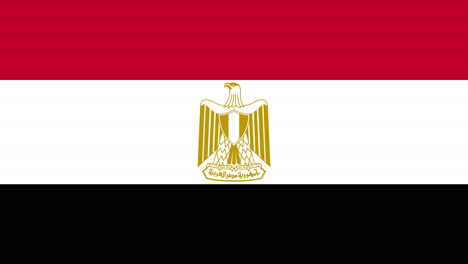 the flag of egypt appearing under the name of the country