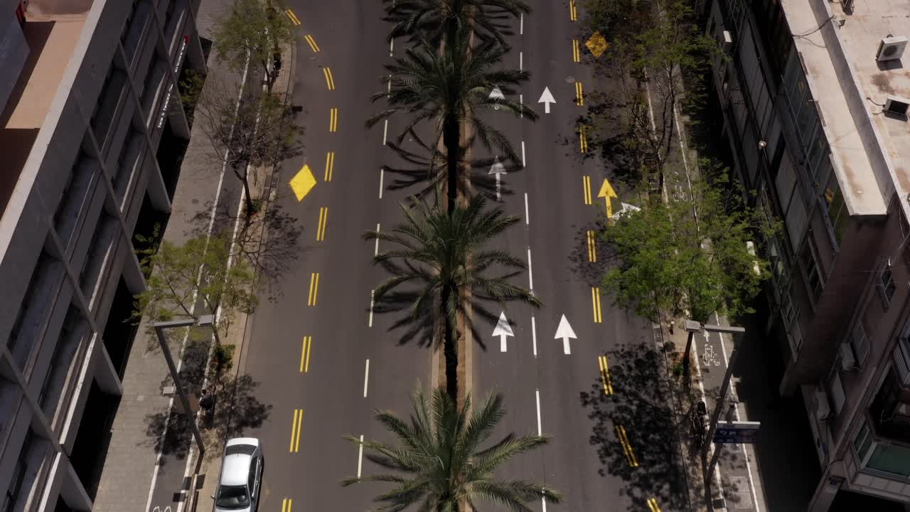 Aerial view of a city street with palm trees and road markings