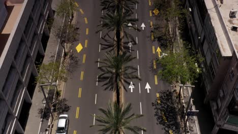 aerial view of a city street with palm trees and road markings