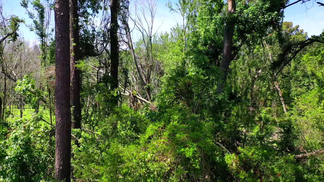 美しい州立公園 ドローンで明らかに