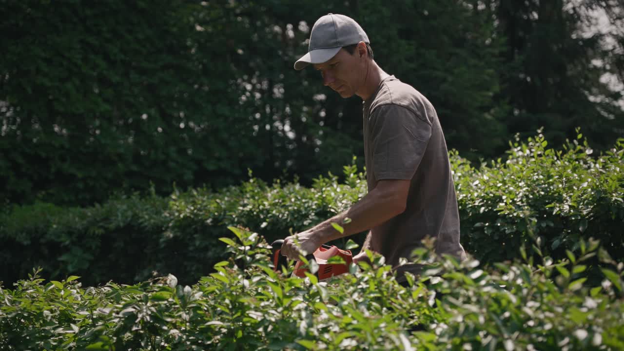 Man Trimming Hedges with a Hedge Trimmer in a Garden
