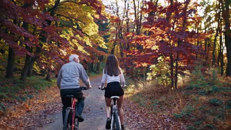 aerial video captures two cyclists on a forest path in autumn