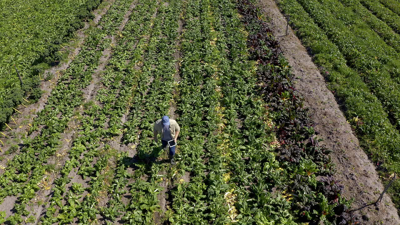 He'll soon see the fruits of his labour