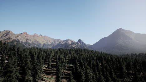 una impresionante vista de una cordillera con un bosque de pinos en primer plano