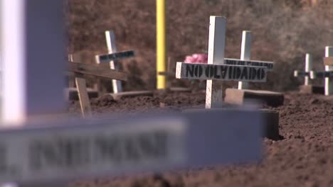 many crosses and gravestones have been mounted in a cleared field as a demonstration