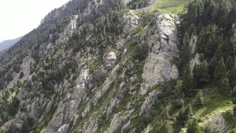 ピレネー山脈のあらゆる種類の松の木でいっぱいの険しい山の上を飛ぶドローンの空中ショット