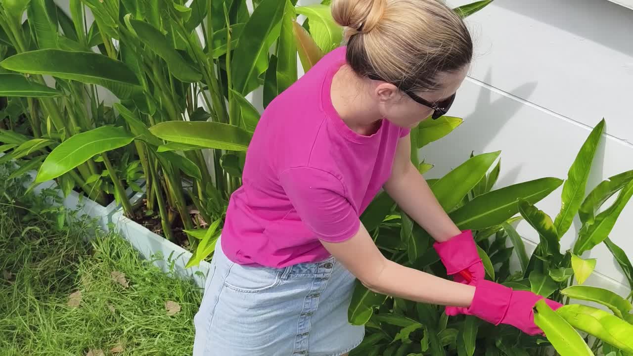 mujer jardinería en el jardín de plantas tropicales