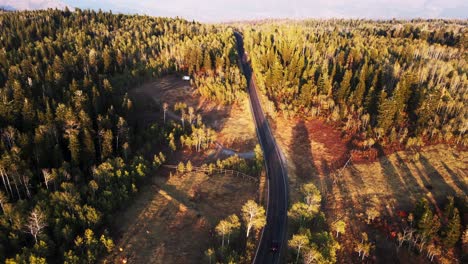 Luftaufnahme-Immergrüner-Wälder,-Malerische-Straßenfahrt-An-Der-Nebo-Loop-Road,-Utah