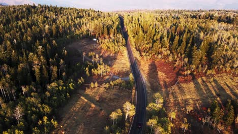 aerial view of evergreen forests,scenic road drive at nebo loop road, utah