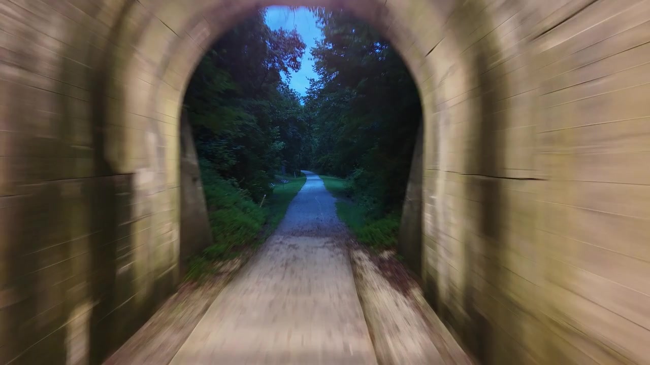 Fast forward drone flythrough down a lit arched tunnel with heavy motion blur, exiting into a sunny daylight forest trail.