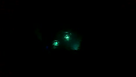 buzos bajo el agua durante la noche usando antorchas para explorar