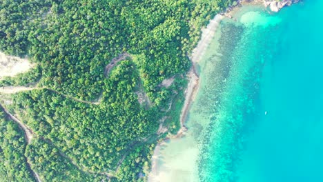 tropical landscape