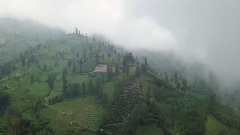 reveal drone shot of plantation on the slope of mountain shrouded by thick fog-1