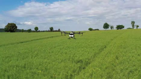 drone navigating lush green fields: aerial views of agricultural innovation and landscape management