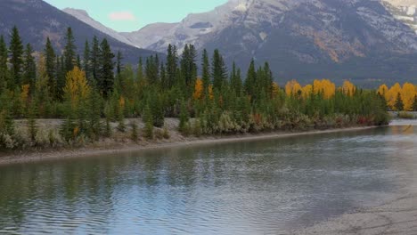 Dog-fetches-a-thrown-stick-from-a-slow-moving-mountain-river