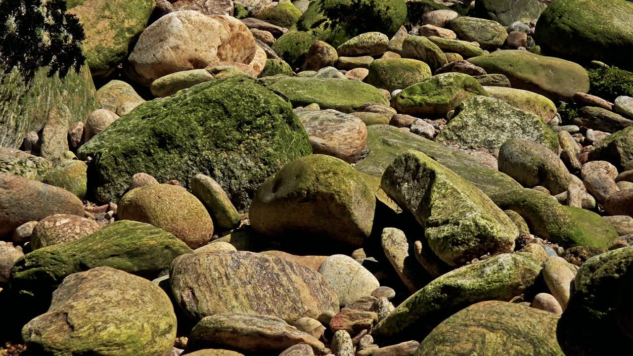 closeup of stones next to the river - sunlight