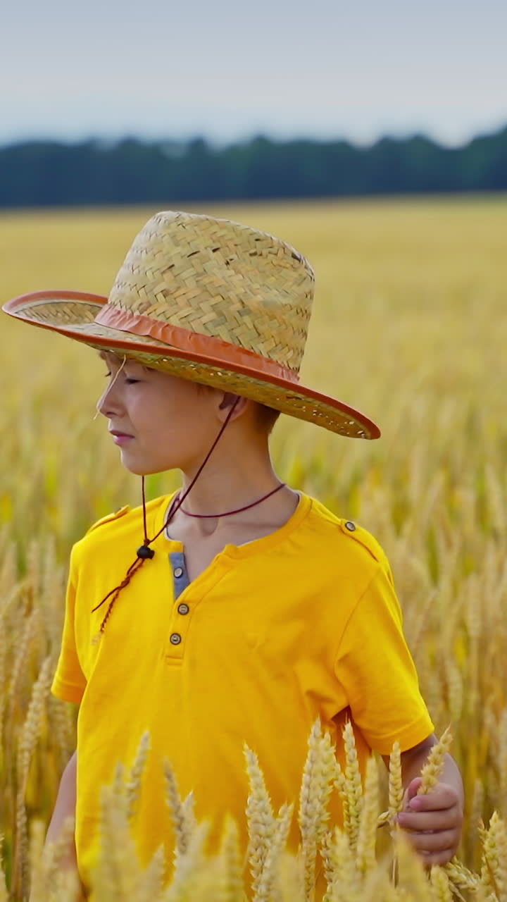 Portrait of little farmer. Boy in straw hat on yellow field. Cute child in yellow t-shirt touches spikelets on agricultural land in summer. Vertical video