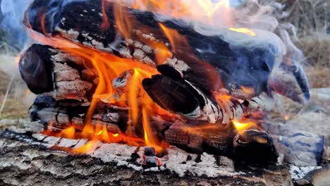 close up shot texture of burning wooden logs outdoors - red hot flame