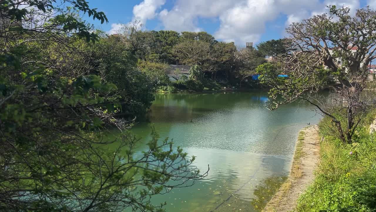 Clear Pond Water Okinawa Shuri Castle Park
